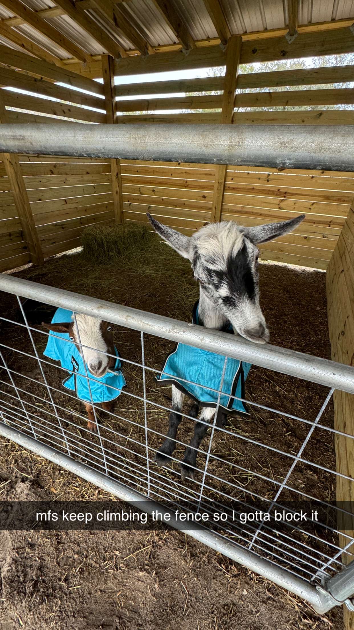 kkierstenking snapchat image archive image