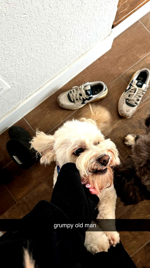 kkierstenking image ~ Altpins