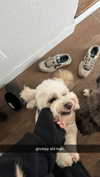 kkierstenking Altpins Profile Picture