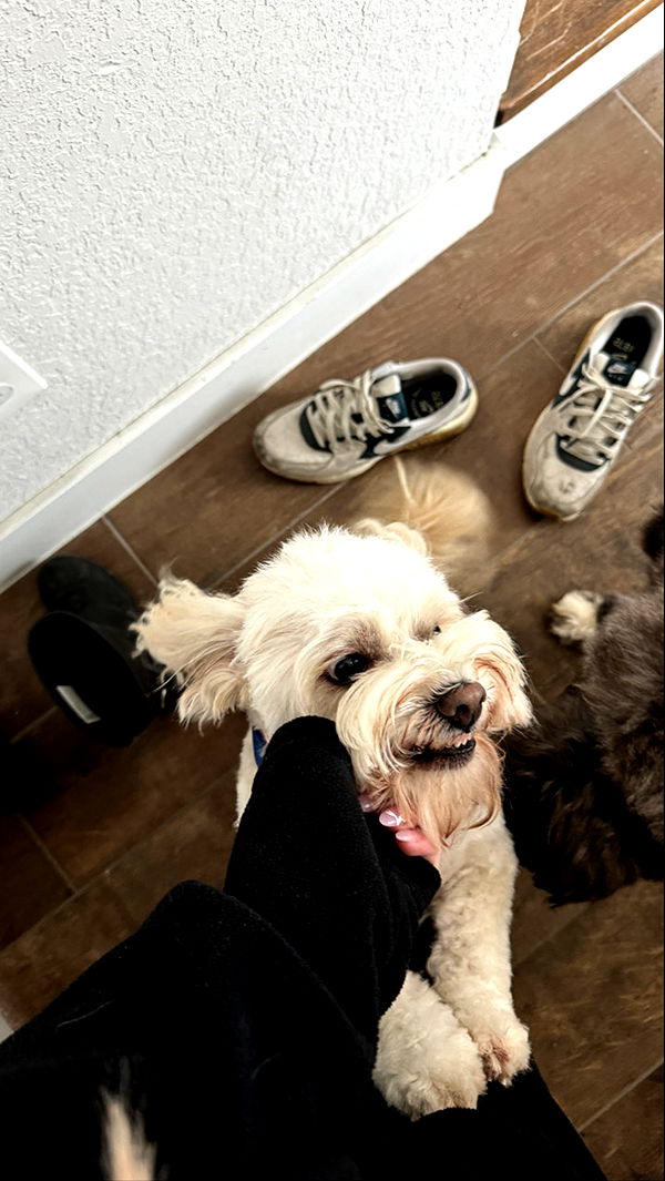 kkierstenking image ~ Altpins