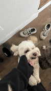 kkierstenking Altpins Profile Picture