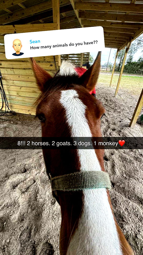 kkierstenking image ~ Altpins