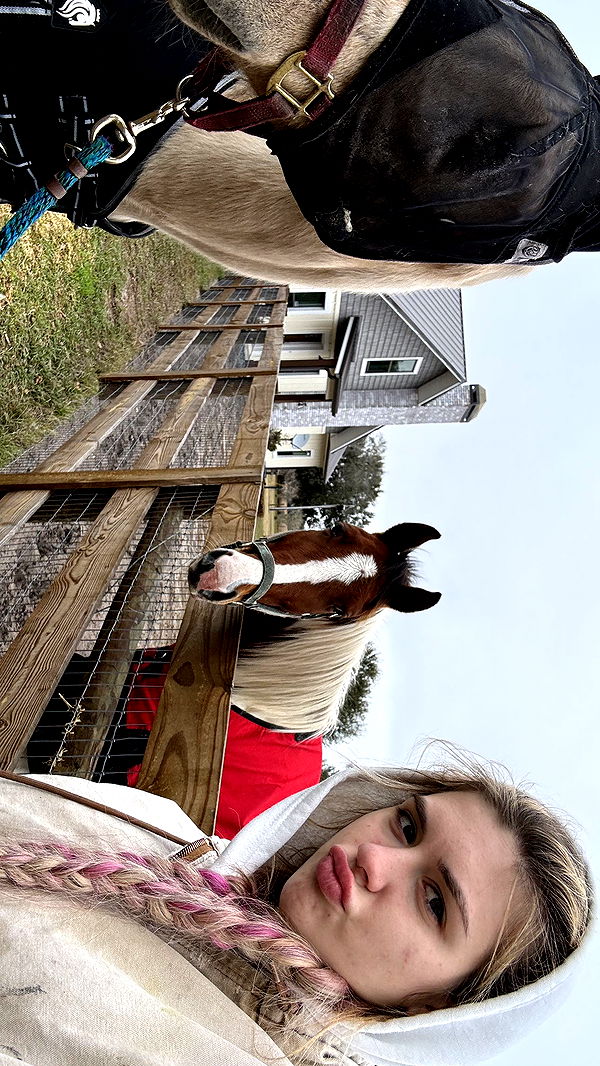 kkierstenking image ~ Altpins