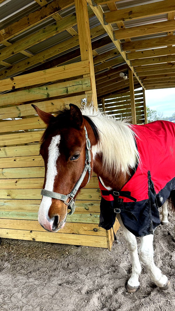 kkierstenking image ~ Altpins