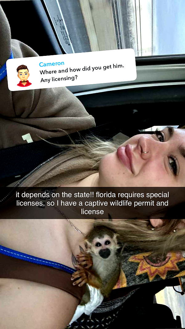 kkierstenking image ~ Altpins