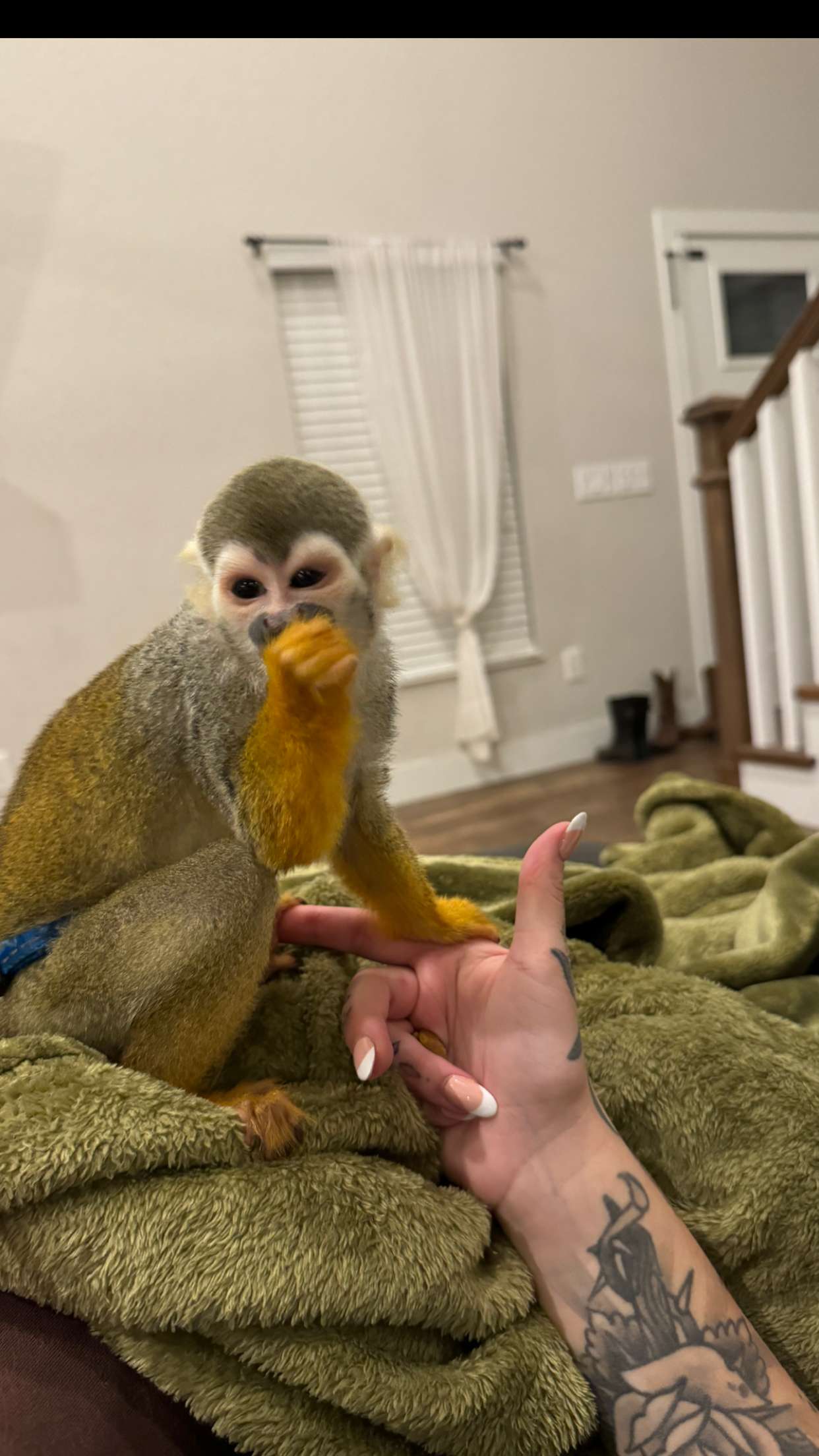 kkierstenking snapchat image archive image