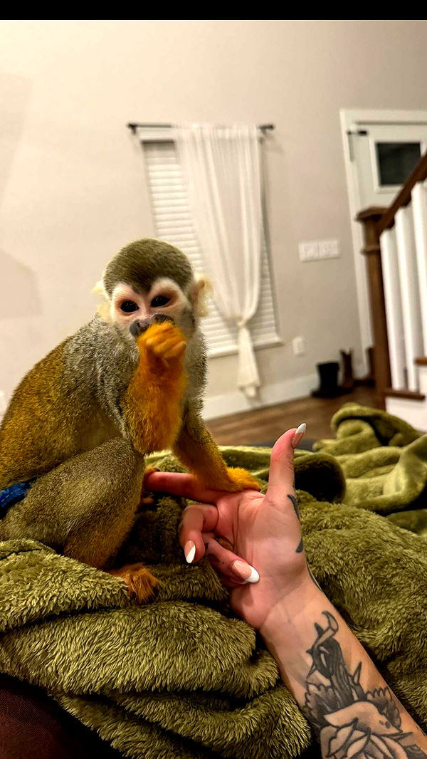 kkierstenking image ~ Altpins