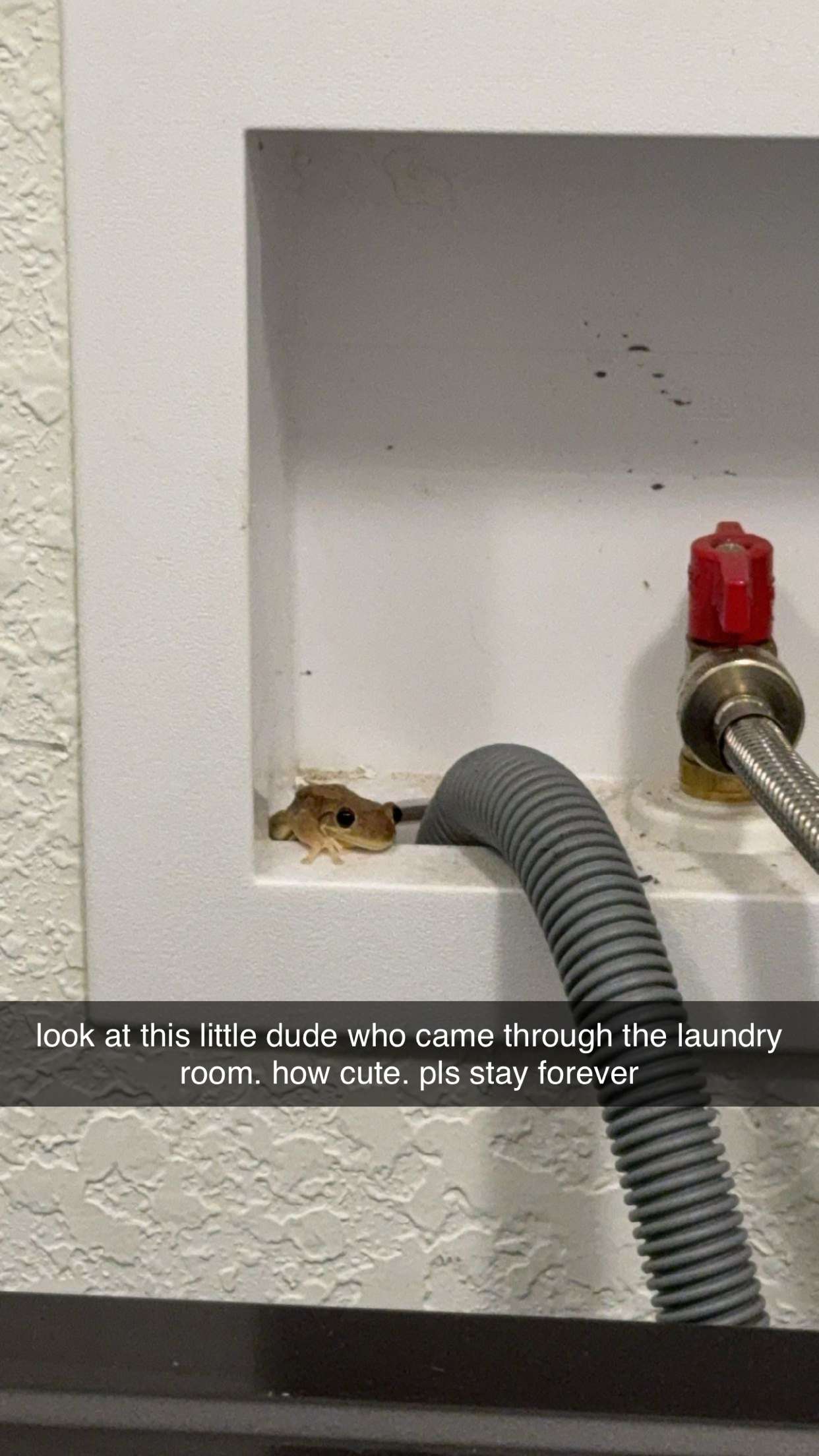 kkierstenking snapchat image archive image