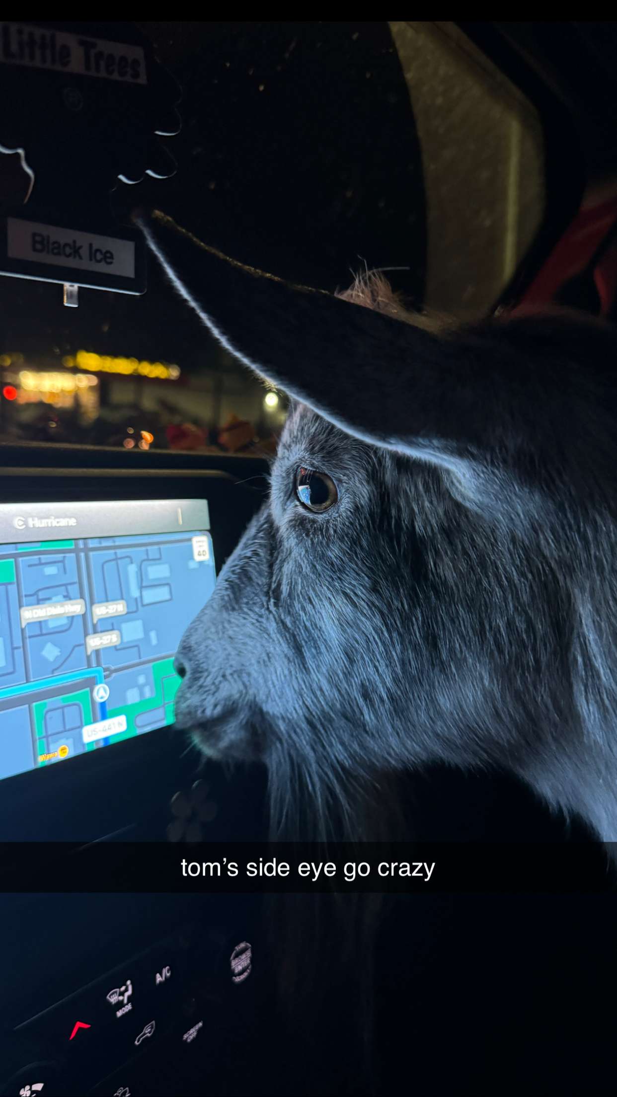 kkierstenking snapchat image archive image