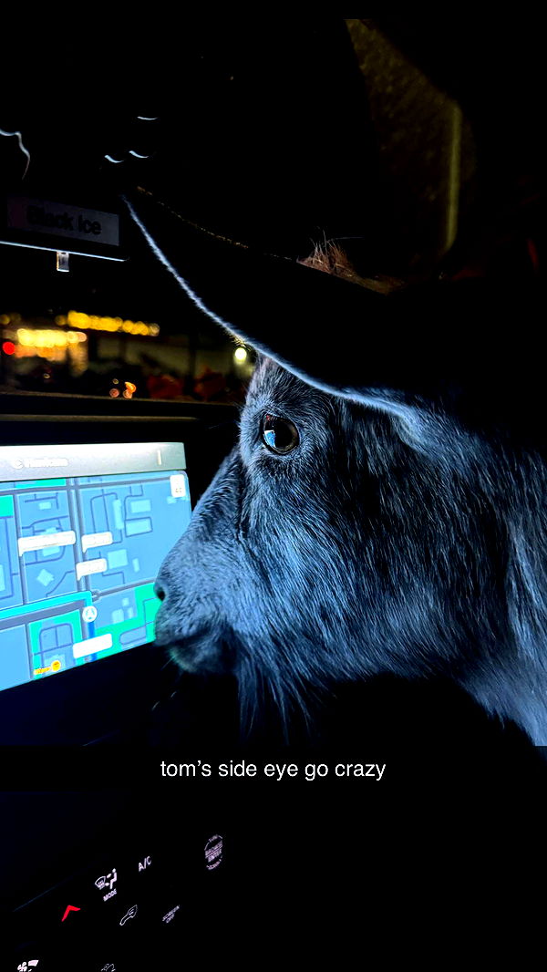 kkierstenking image ~ Altpins