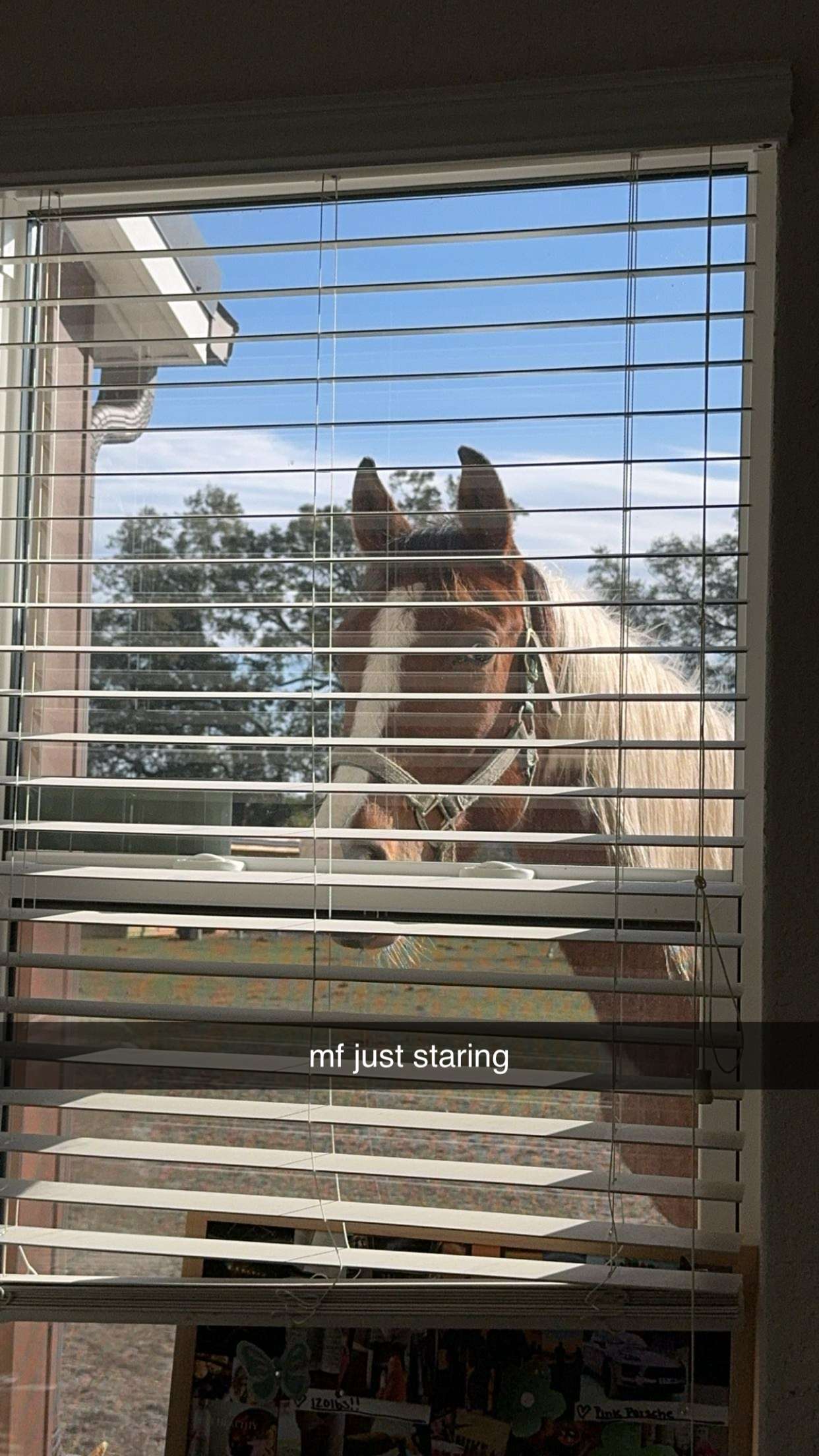 kkierstenking snapchat image archive image