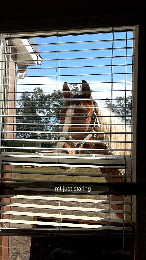 kkierstenking image ~ Altpins