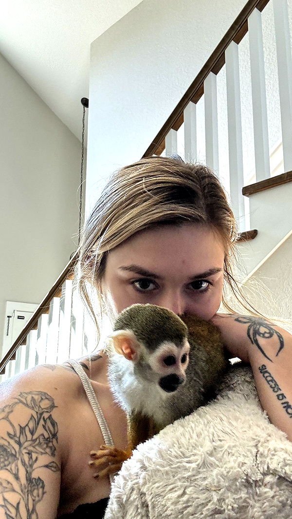 kkierstenking image ~ Altpins