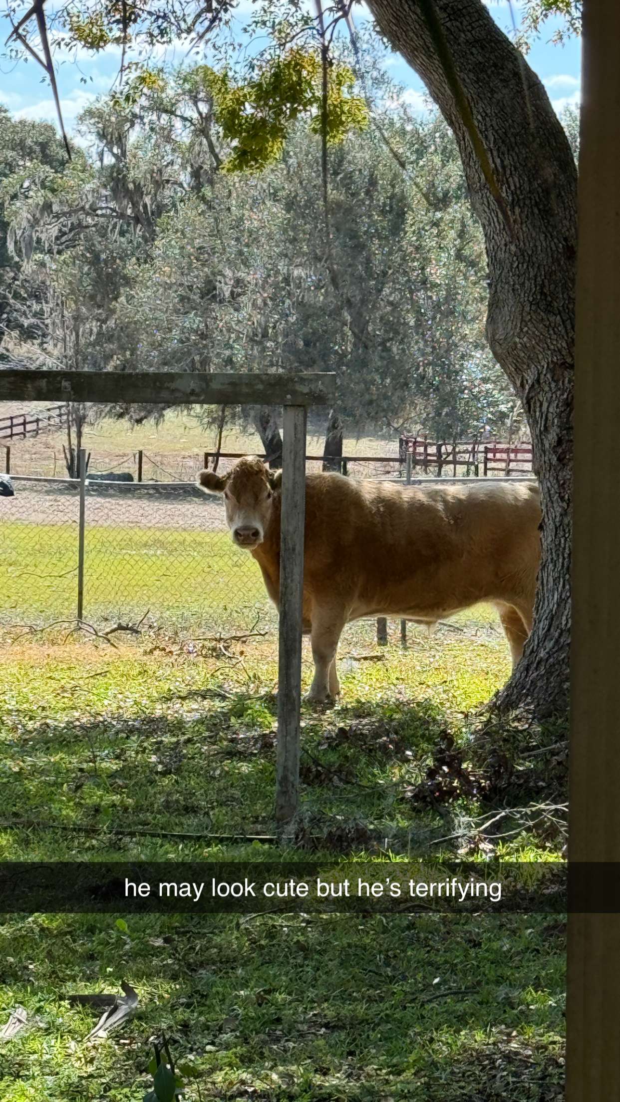 kkierstenking snapchat image archive image