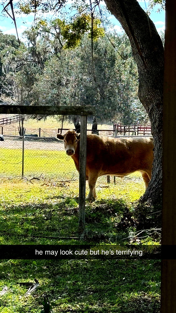 kkierstenking image ~ Altpins