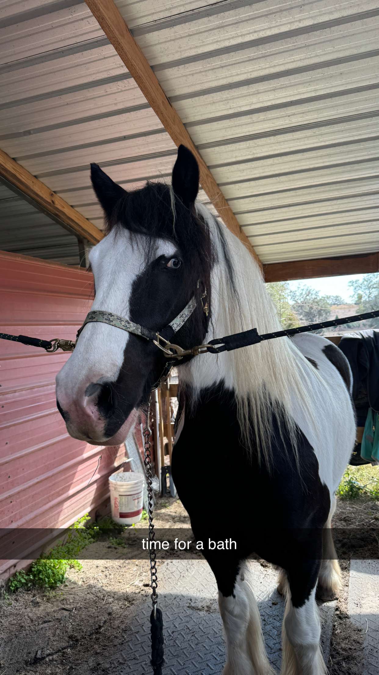 kkierstenking snapchat image archive image