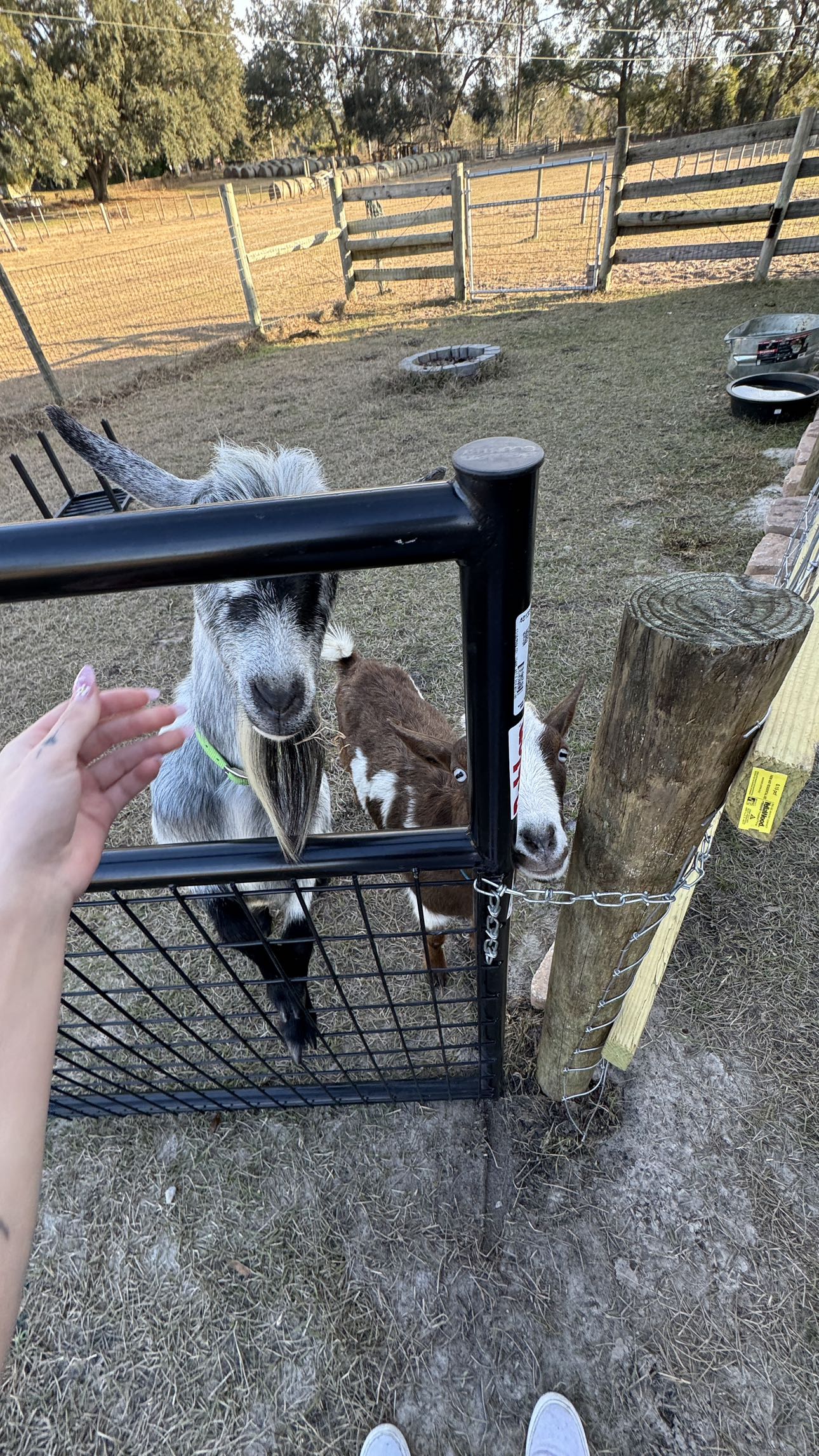 kkierstenking snapchat image archive image