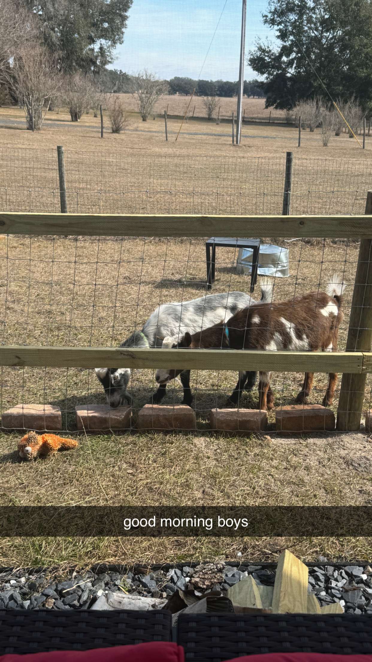 kkierstenking snapchat image archive image