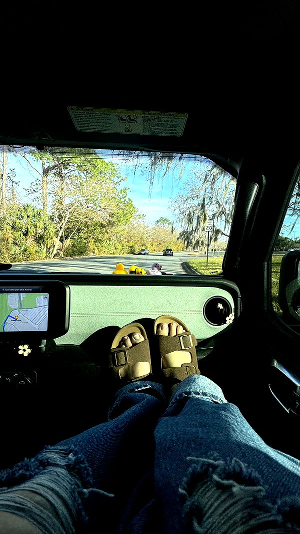 kkierstenking image ~ Altpins