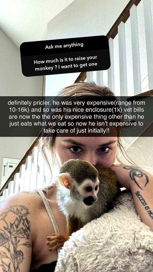 kkierstenking image ~ Altpins