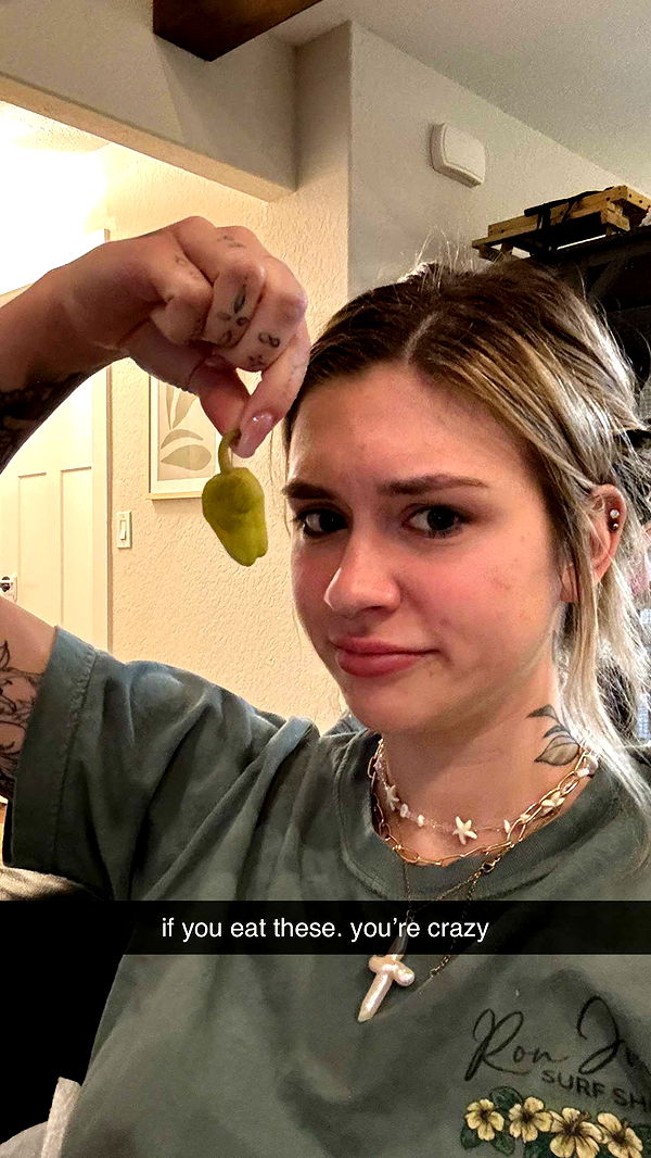 kkierstenking image ~ Altpins