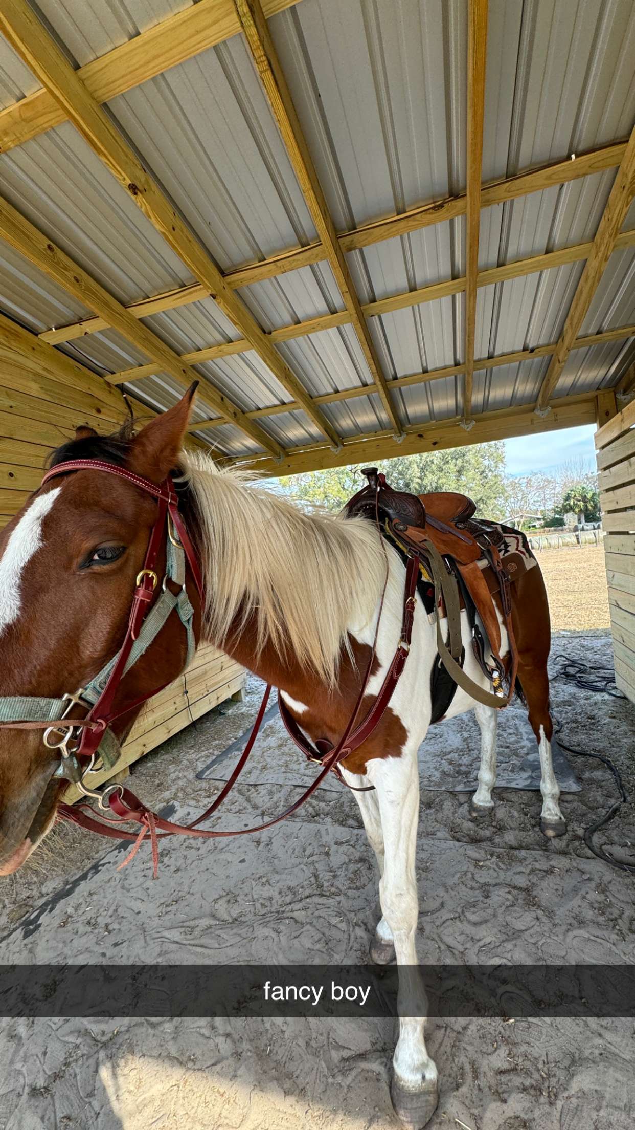 kkierstenking snapchat image archive image