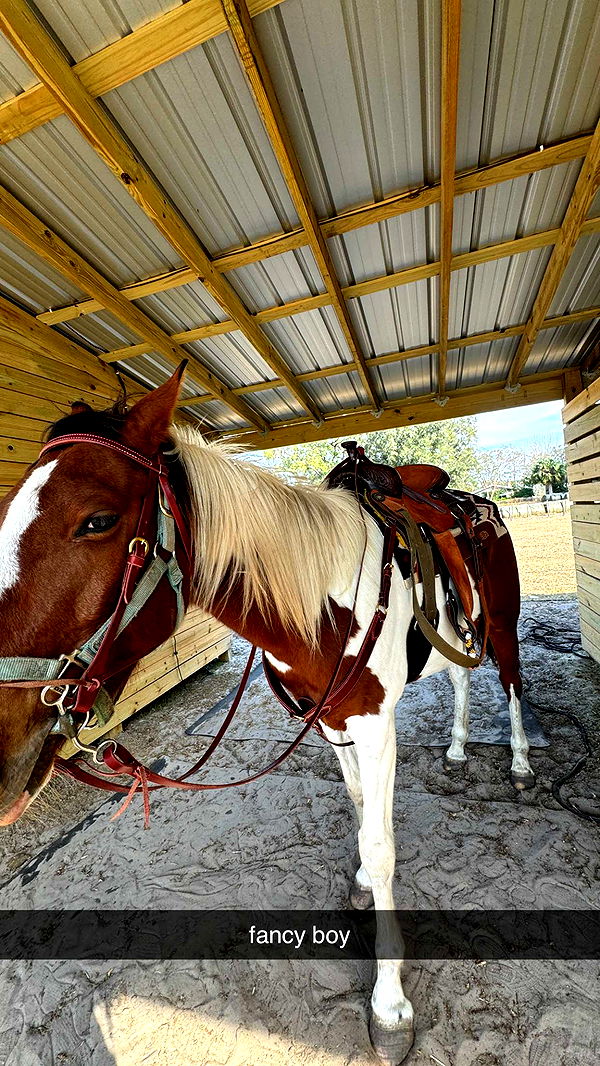 kkierstenking image ~ Altpins