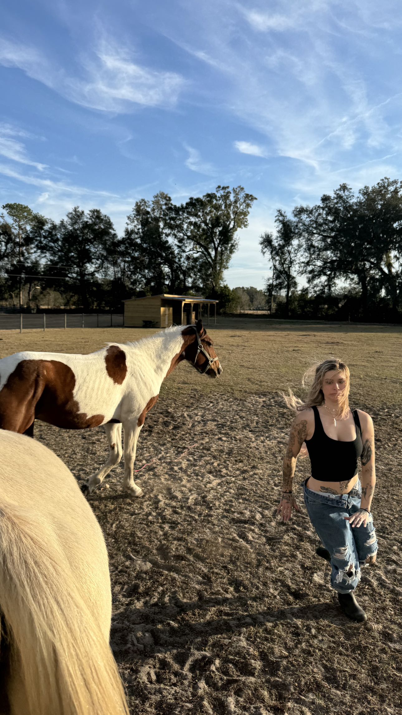 kkierstenking snapchat image archive image