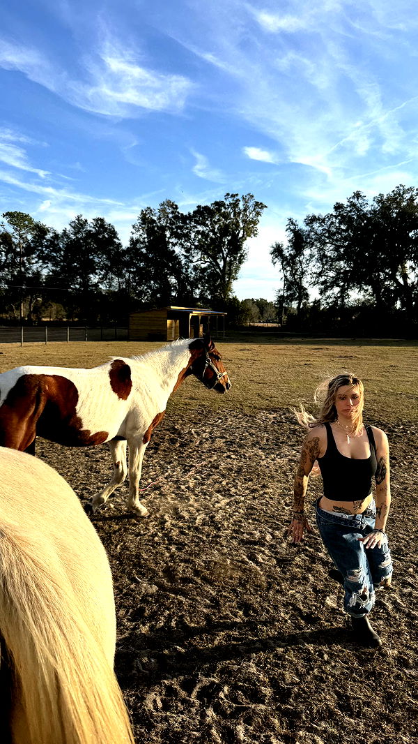 kkierstenking image ~ Altpins