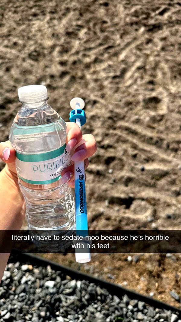 kkierstenking image ~ Altpins