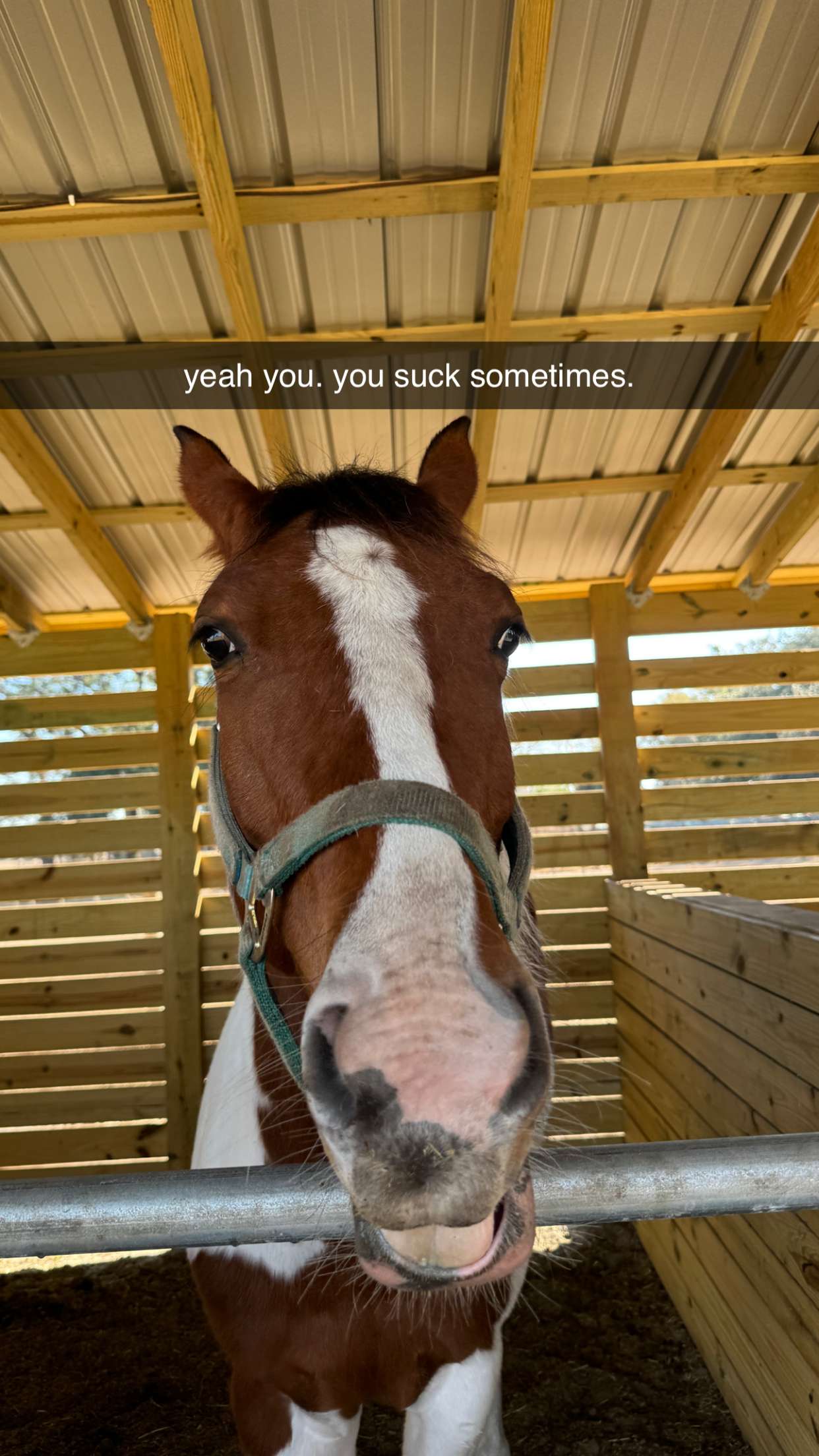 kkierstenking snapchat image archive image