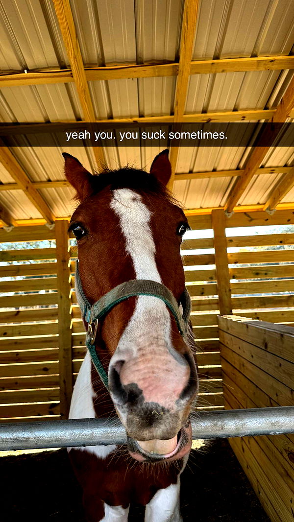 kkierstenking image ~ Altpins