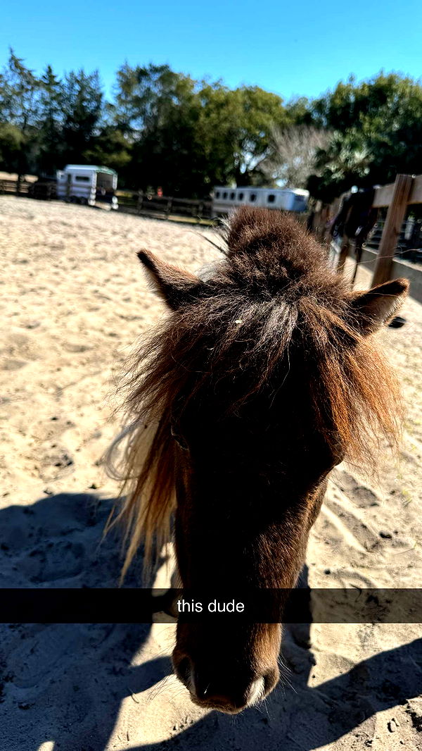 kkierstenking image ~ Altpins