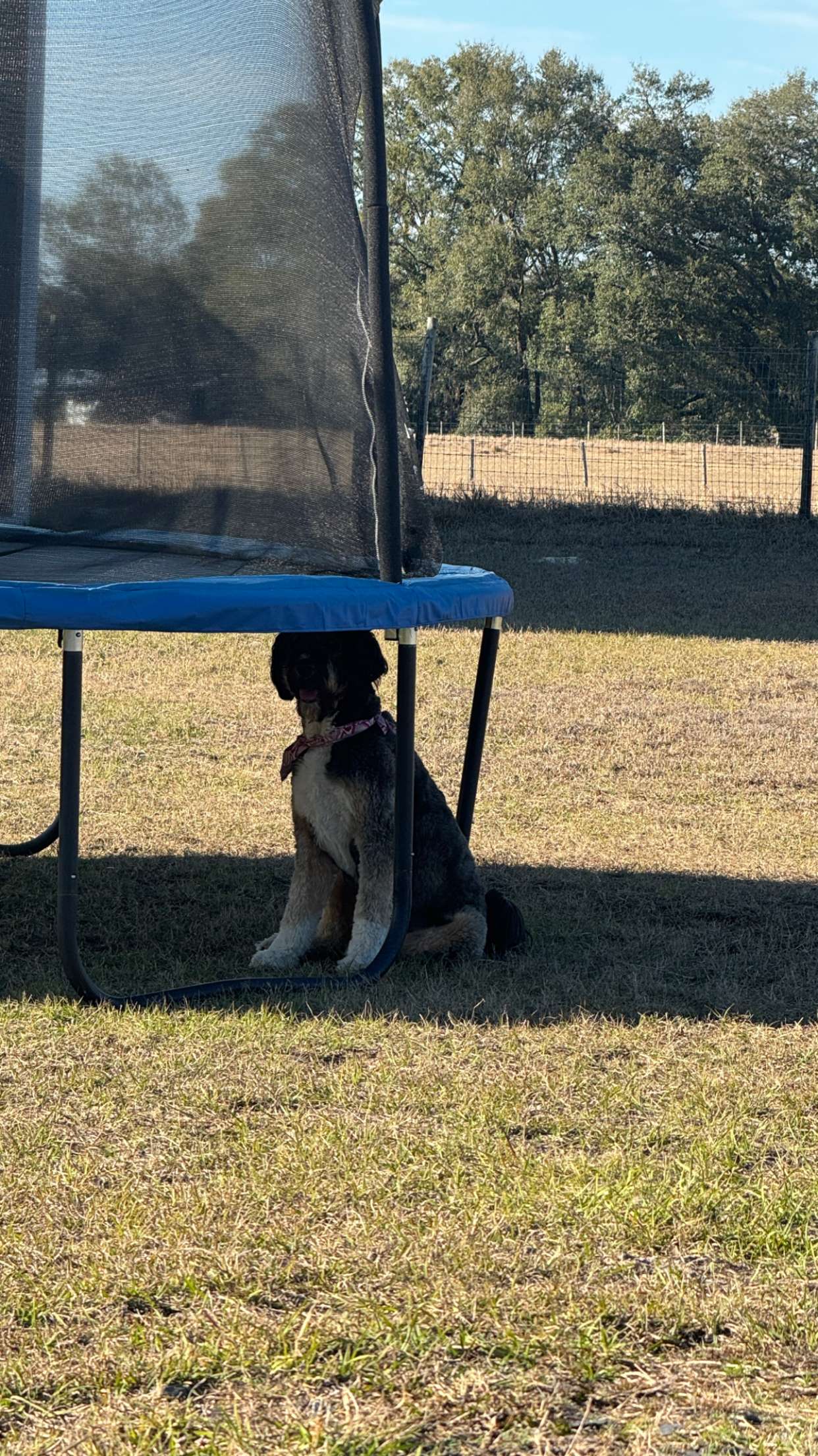 kkierstenking snapchat image archive image