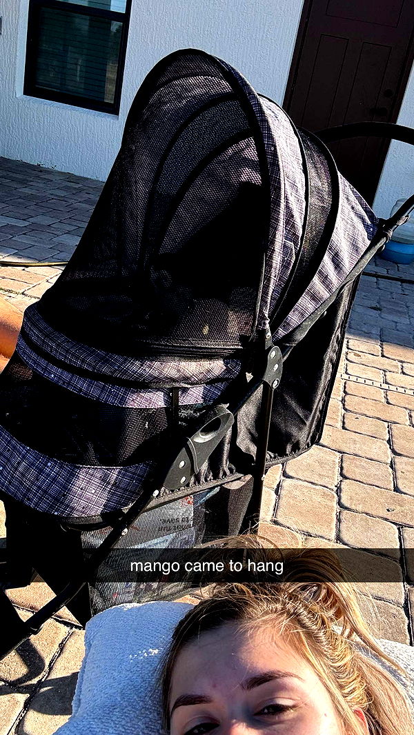 kkierstenking image ~ Altpins