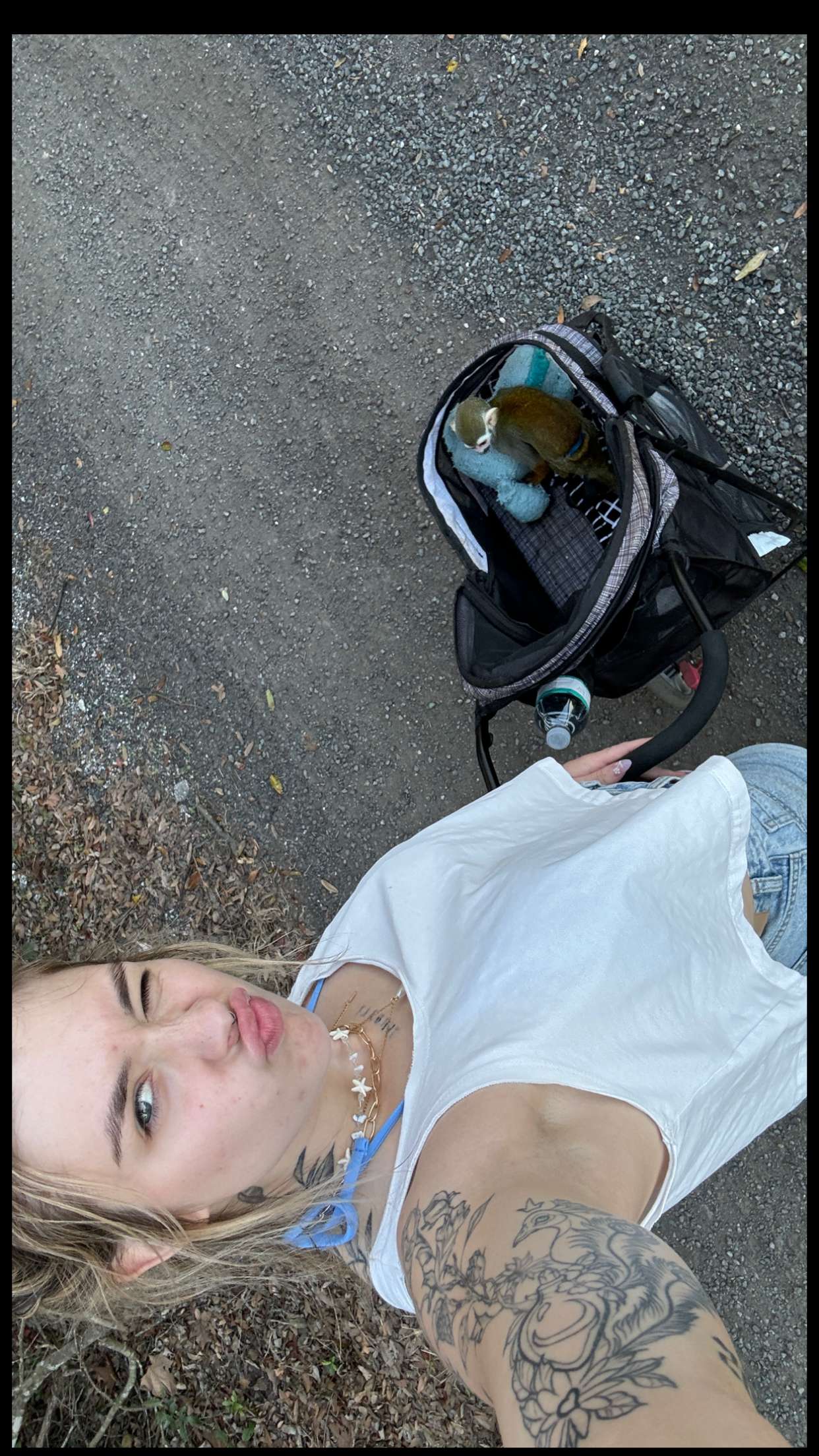 kkierstenking snapchat image archive image