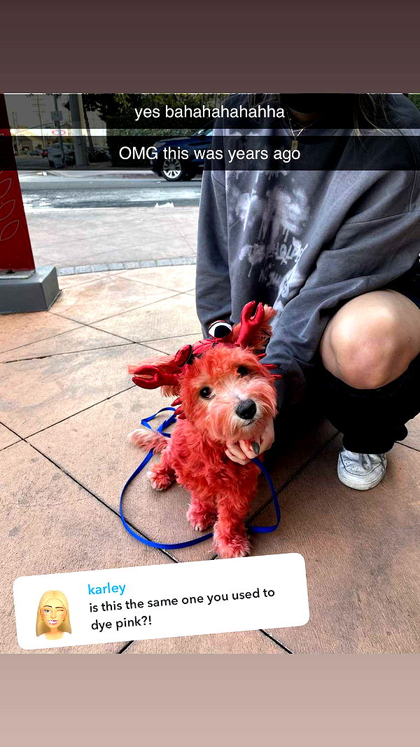 kkierstenking image ~ Altpins