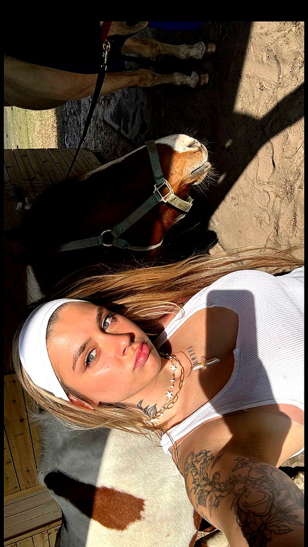 kkierstenking image ~ Altpins