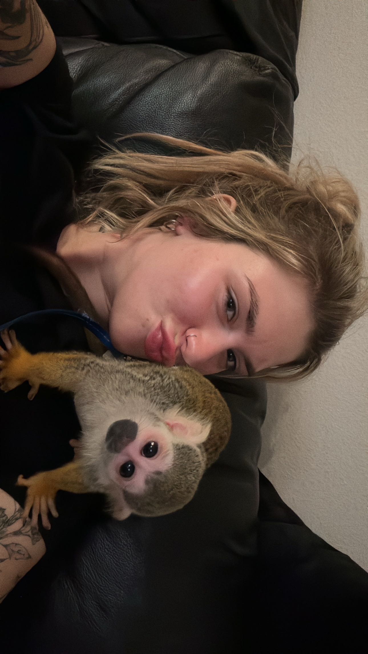 kkierstenking snapchat image archive image