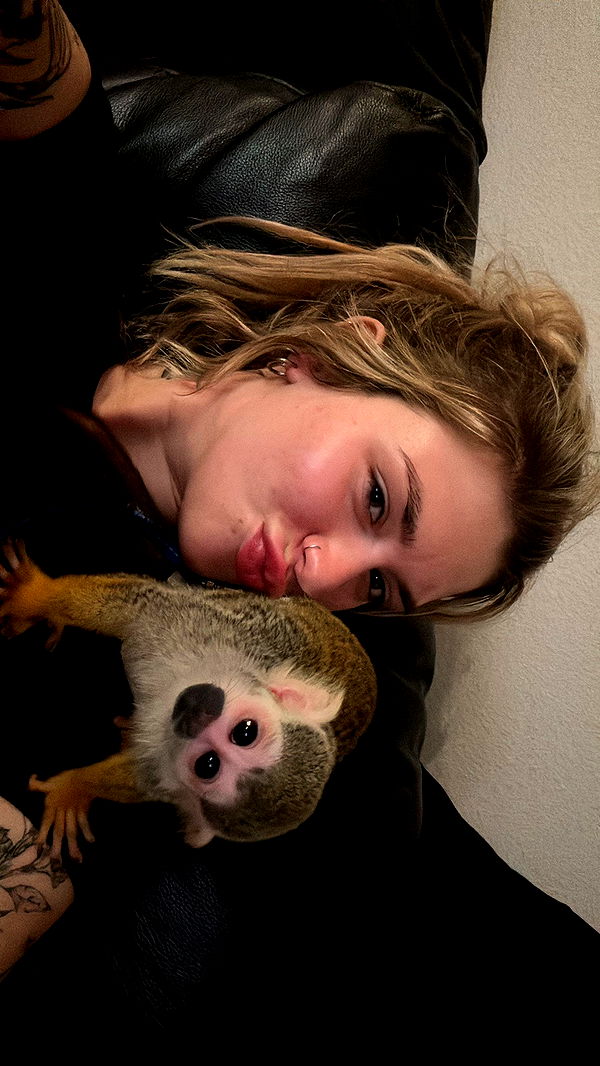 kkierstenking image ~ Altpins