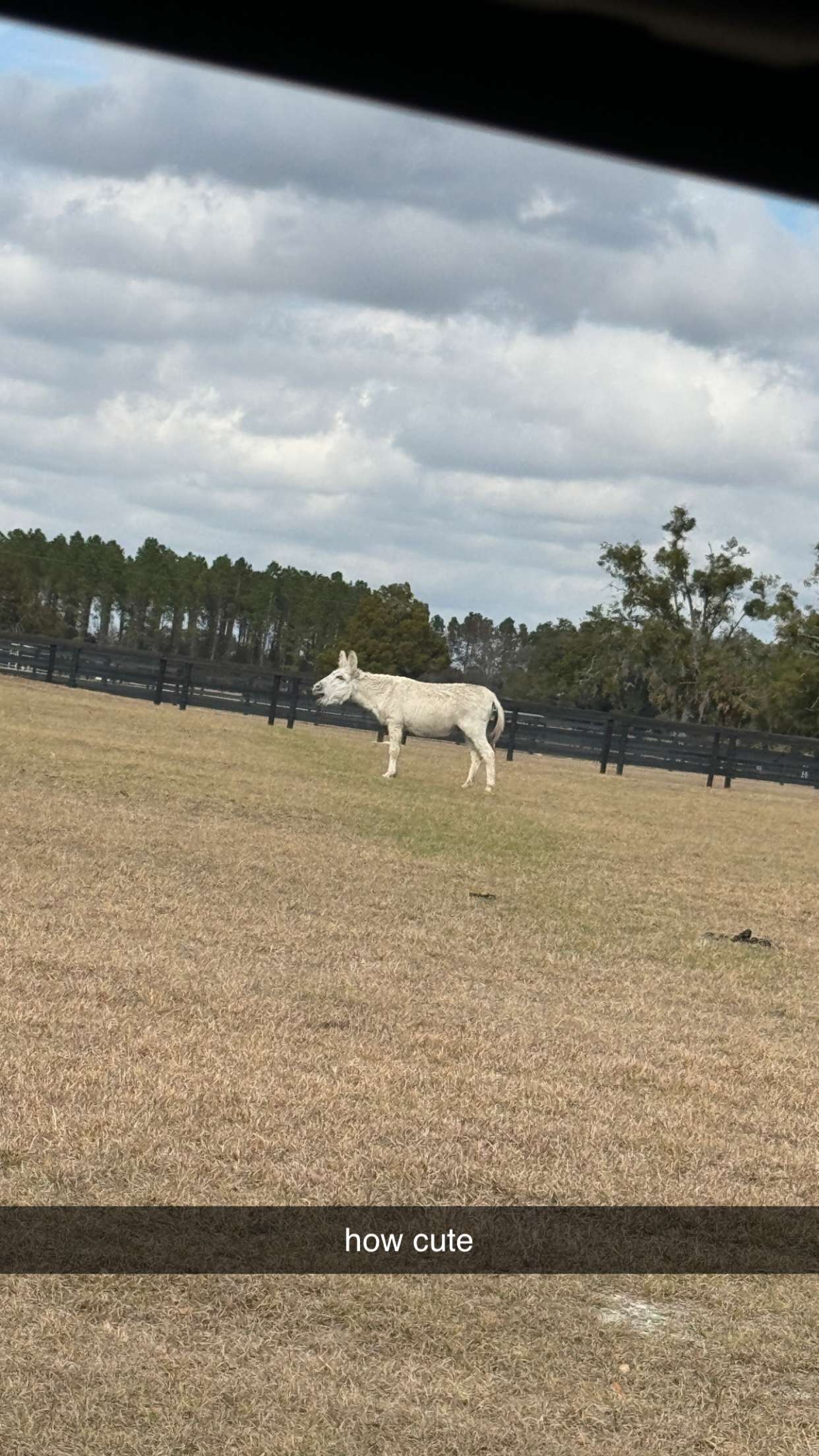 kkierstenking snapchat image archive image