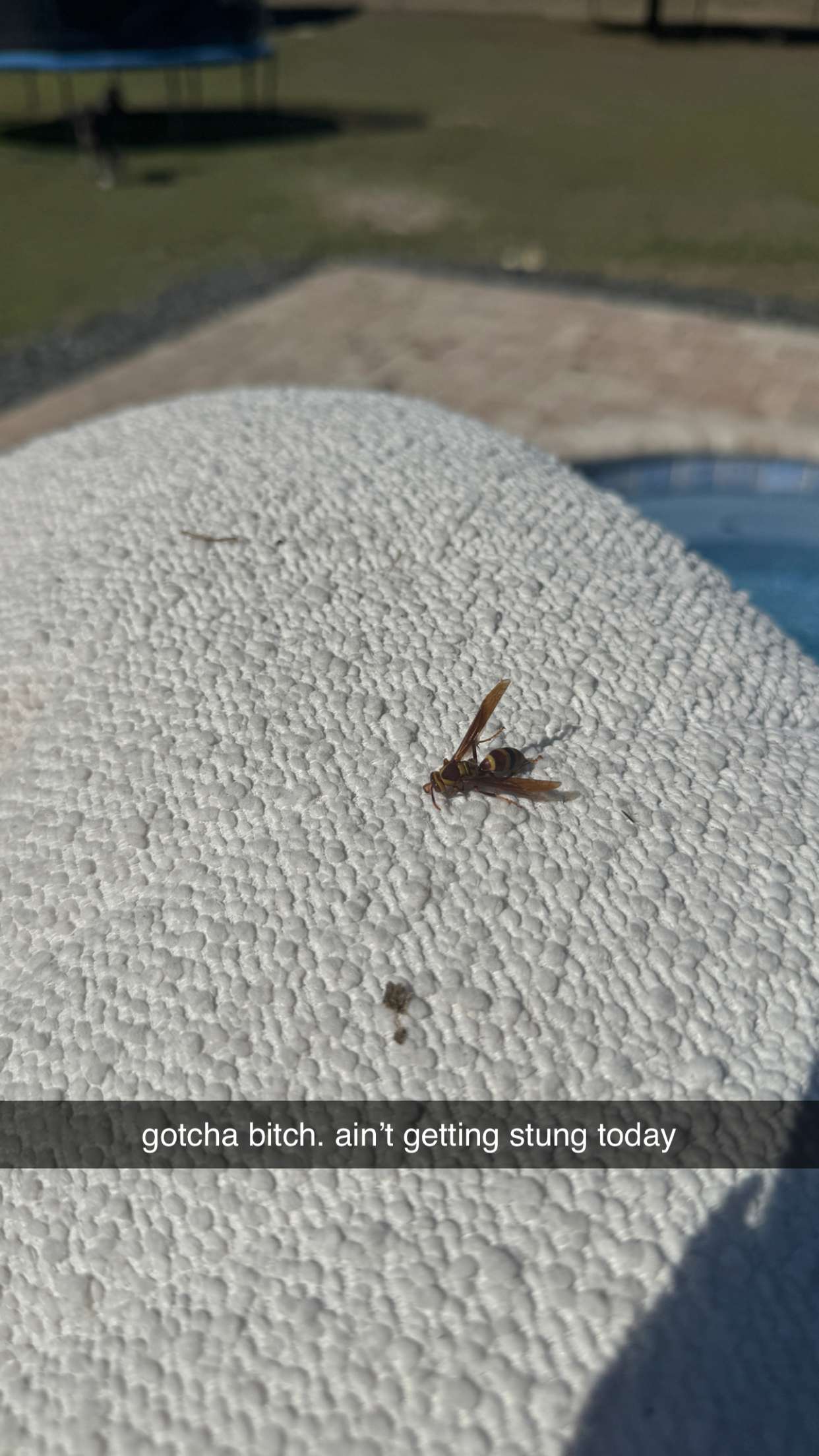 kkierstenking snapchat image archive image