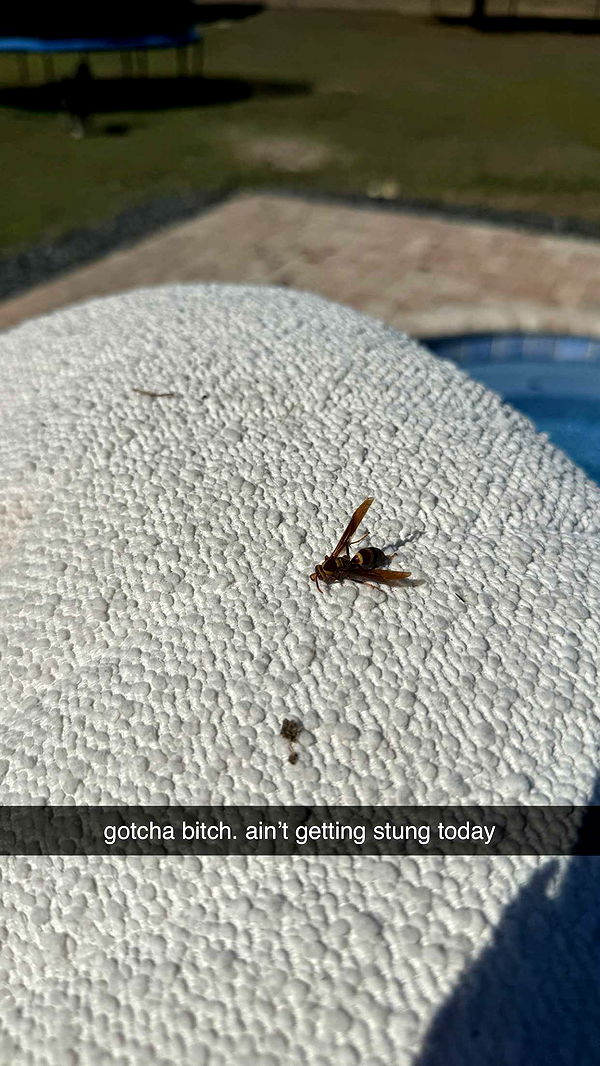 kkierstenking image ~ Altpins