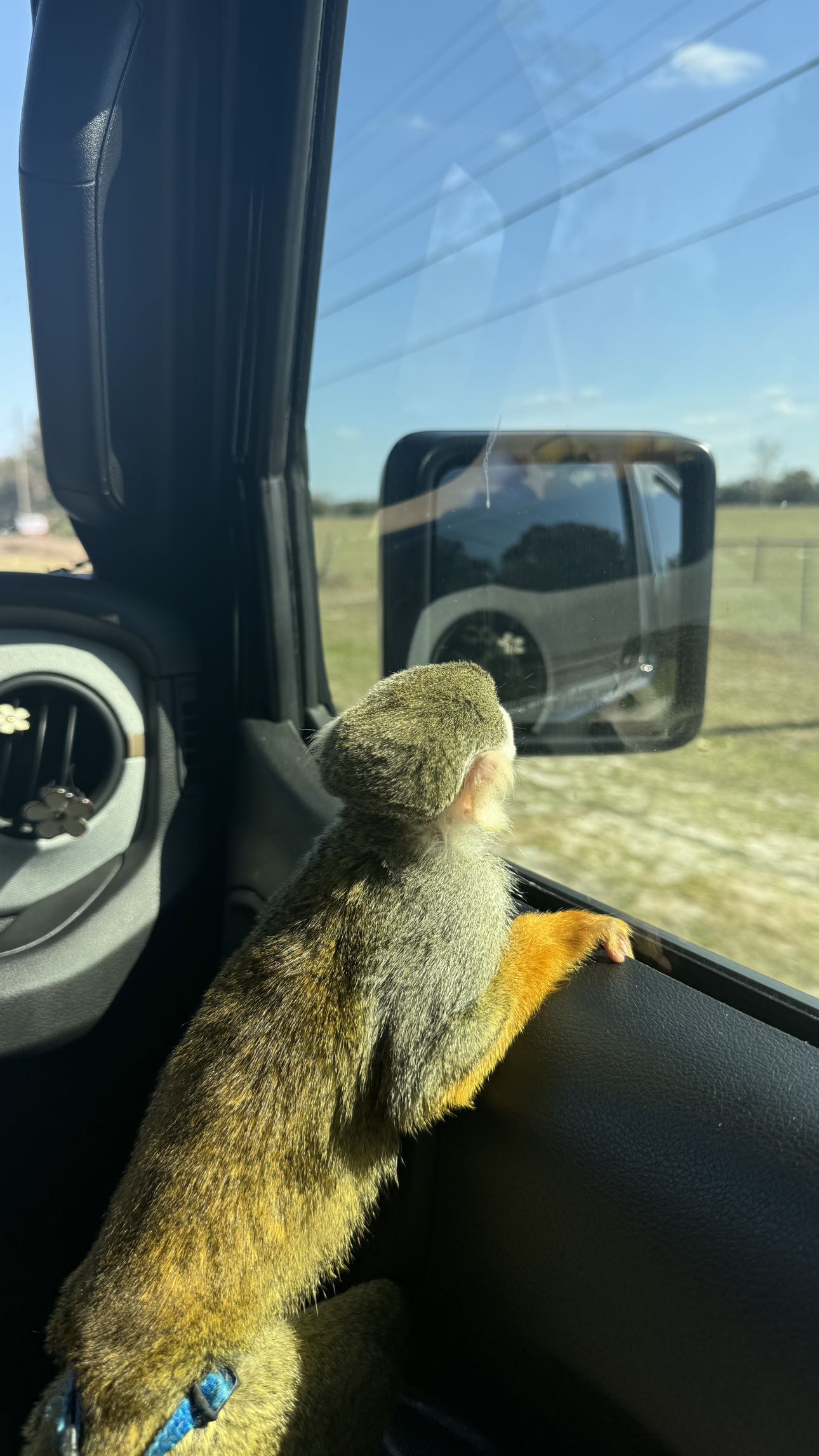 kkierstenking snapchat image archive image