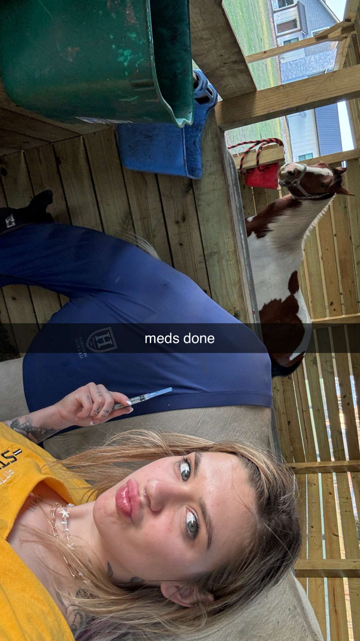 kkierstenking snapchat image archive image