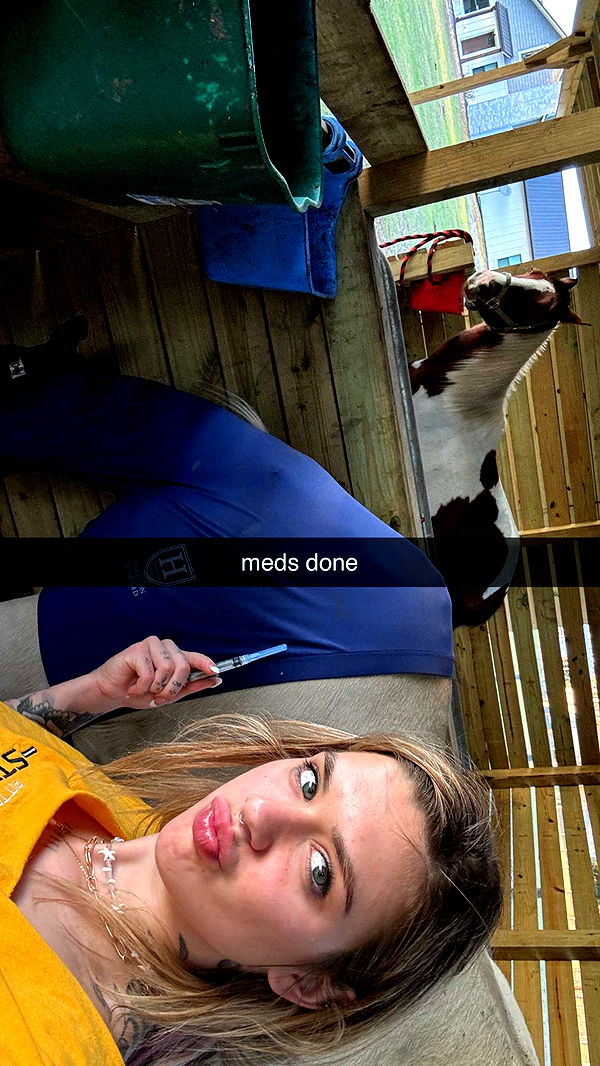 kkierstenking image ~ Altpins