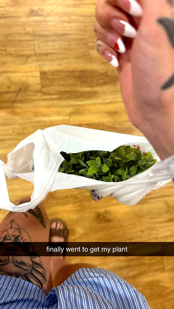 kkierstenking image ~ Altpins