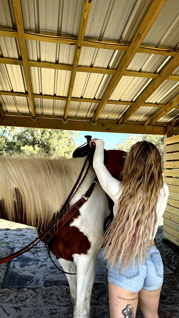 kkierstenking image ~ Altpins