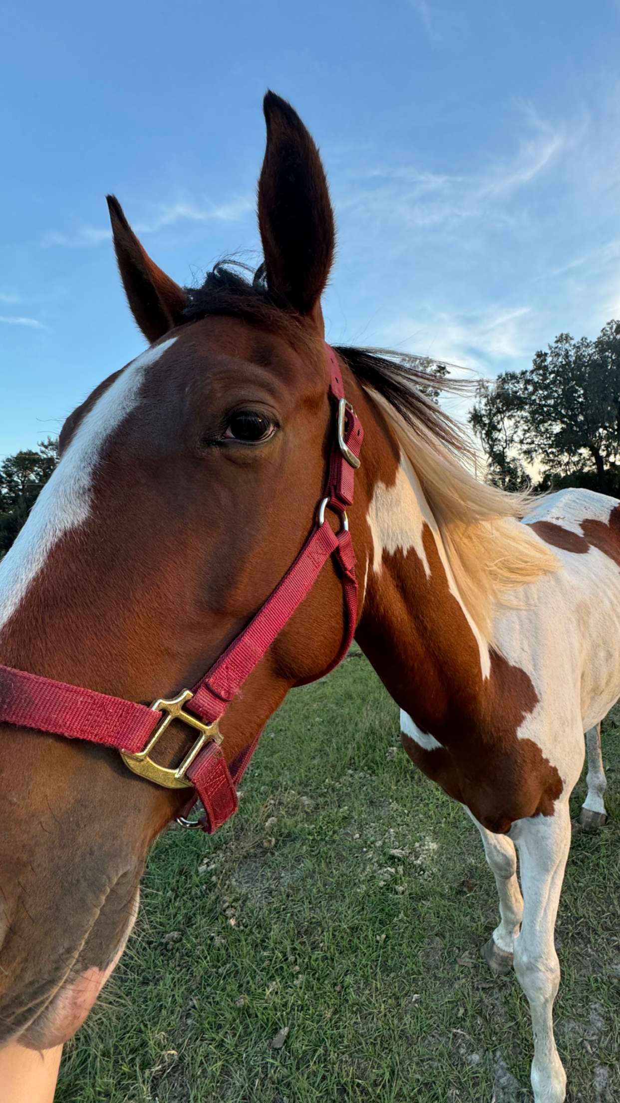 kkierstenking snapchat image archive image