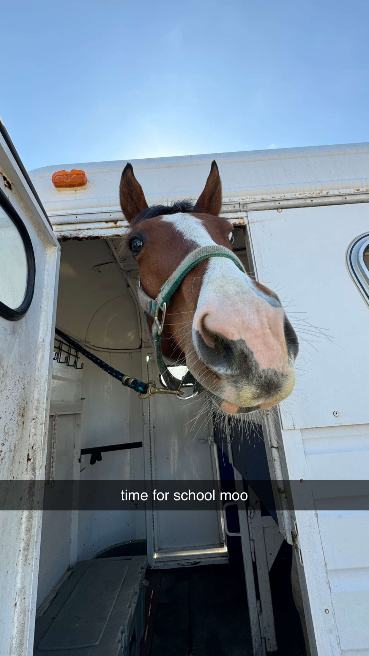 kkierstenking snapchat image archive image